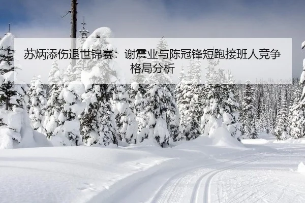 su-bing-tian-shang-tui-shi-jin-sai-xie-zhen-ye-yu-chen-guan-feng-duan-pao-jie-ban-ren-jing-zheng-ge-ju-fen-xi-2-802.jpg