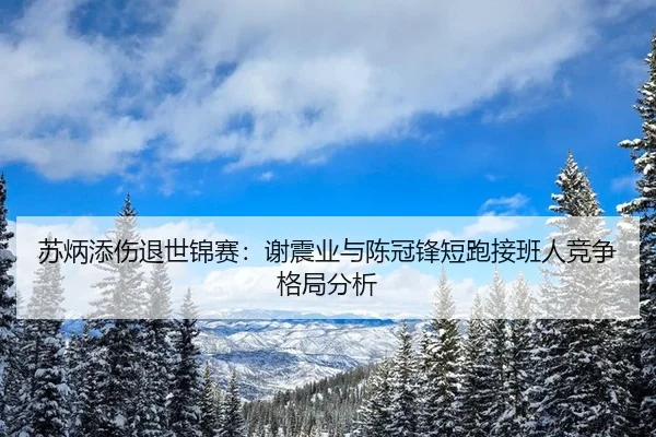 su-bing-tian-shang-tui-shi-jin-sai-xie-zhen-ye-yu-chen-guan-feng-duan-pao-jie-ban-ren-jing-zheng-ge-ju-fen-xi-3-793.jpg