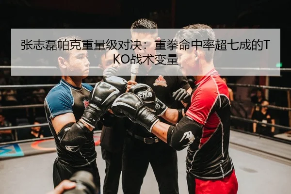 张志磊帕克重量级对决：重拳命中率超七成的TKO战术变量